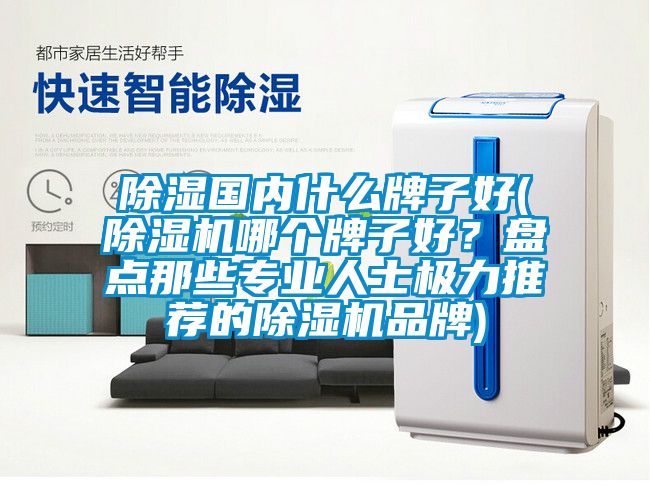 除濕國內什么牌子好(除濕機哪個牌子好？盤點那些專業人士極力推薦的除濕機品牌)