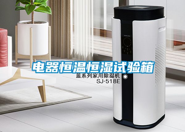 電器恒溫恒濕試驗箱