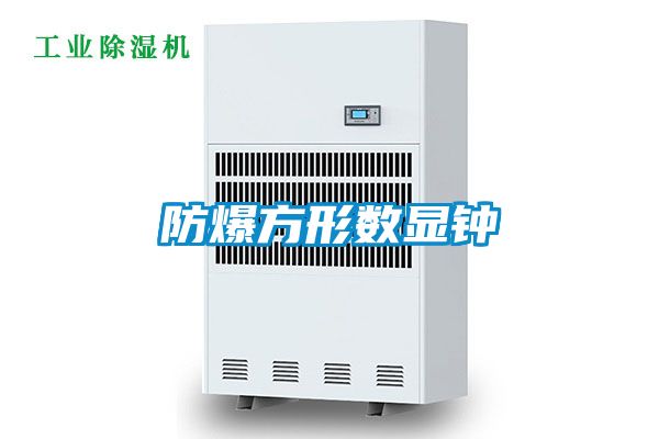 防爆方形數(shù)顯鐘