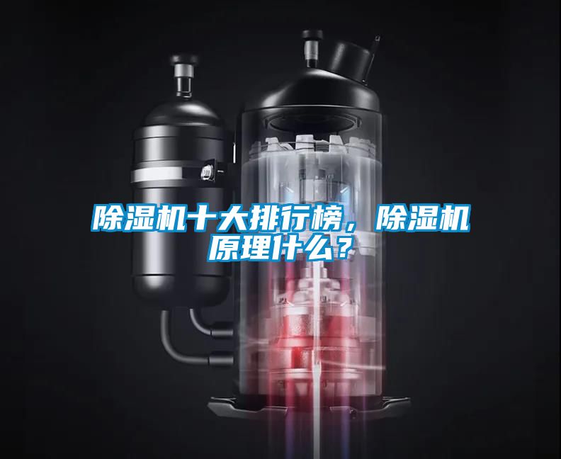 除濕機十大排行榜，除濕機原理什么？