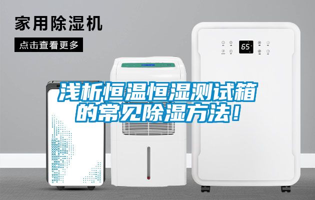 淺析恒溫恒濕測試箱的常見除濕方法！