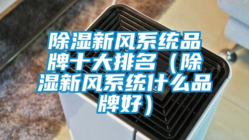 除濕新風系統品牌十大排名（除濕新風系統什么品牌好）