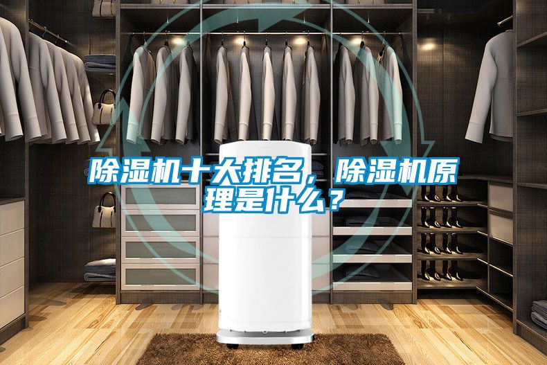 除濕機十大排名，除濕機原理是什么？