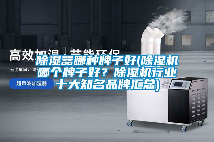 除濕器哪種牌子好(除濕機哪個牌子好？除濕機行業十大知名品牌匯總)