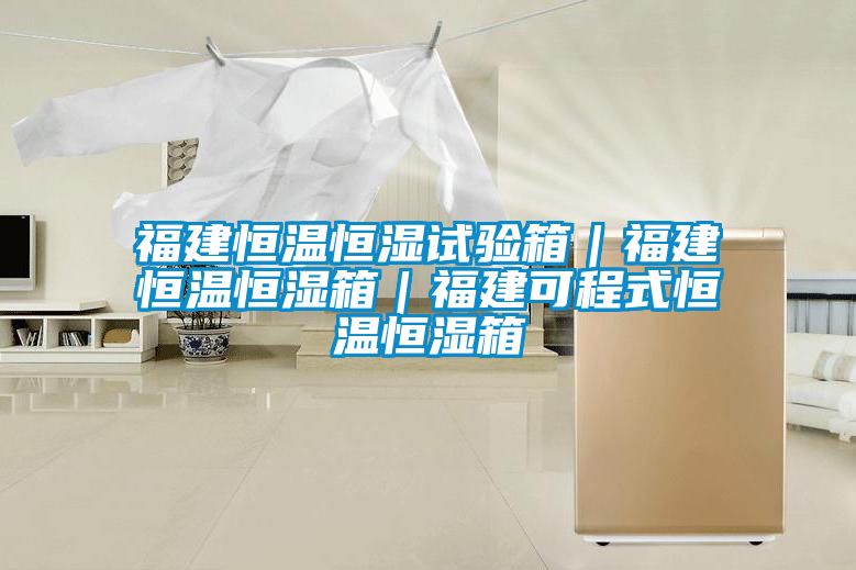 福建恒溫恒濕試驗(yàn)箱｜福建恒溫恒濕箱｜福建可程式恒溫恒濕箱