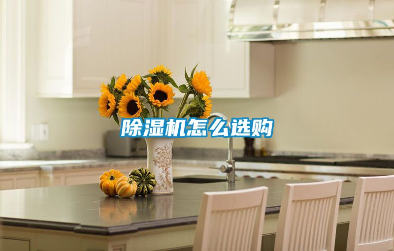 除濕機(jī)怎么選購