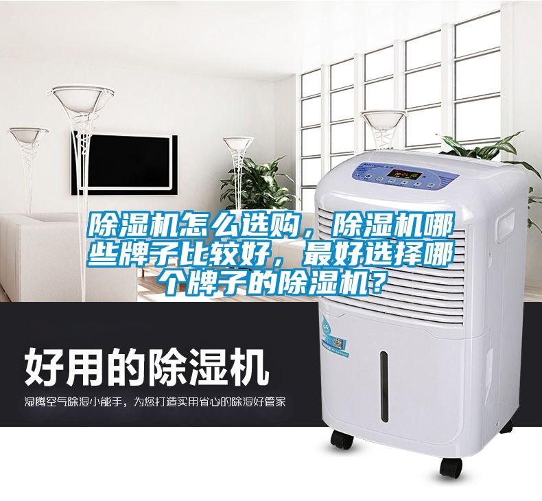 除濕機怎么選購，除濕機哪些牌子比較好，最好選擇哪個牌子的除濕機？