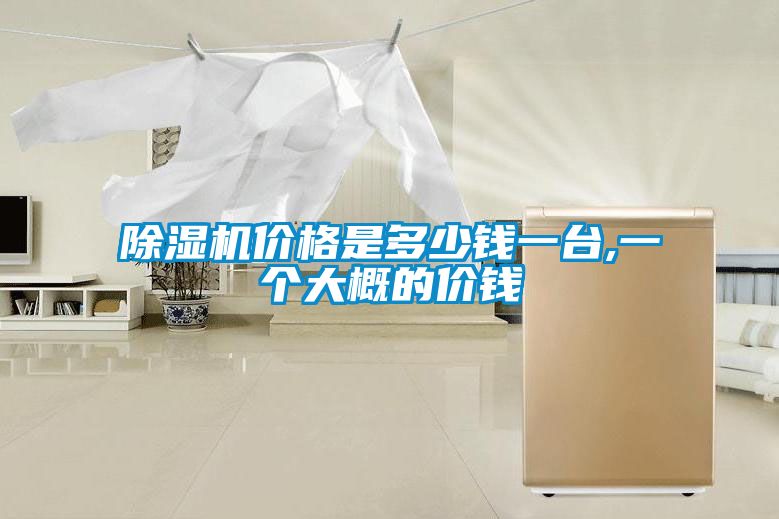 除濕機價格是多少錢一臺,一個大概的價錢
