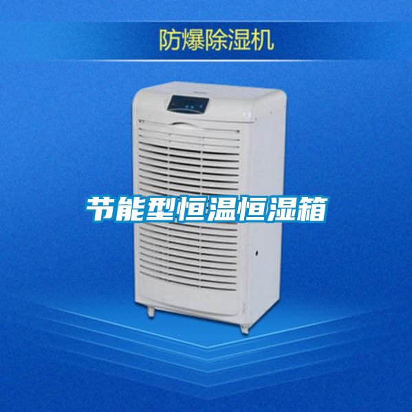 節(jié)能型恒溫恒濕箱