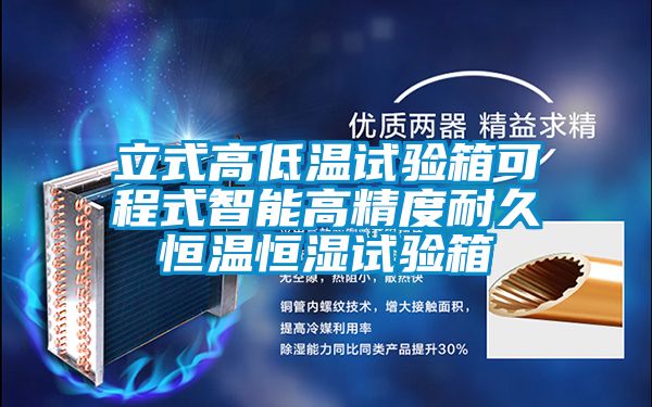 立式高低溫試驗箱可程式智能高精度耐久恒溫恒濕試驗箱