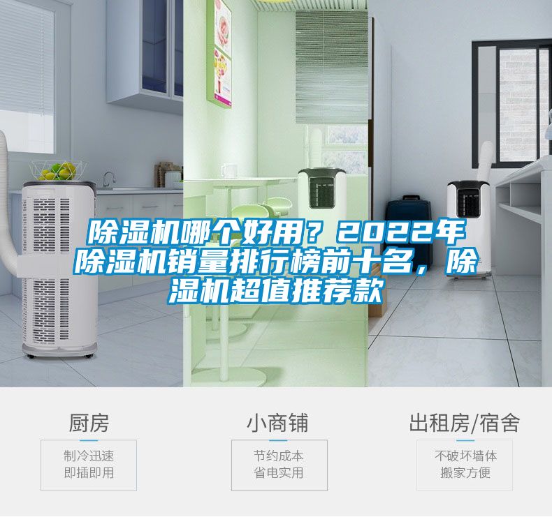 除濕機哪個好用？2022年除濕機銷量排行榜前十名，除濕機超值推薦款