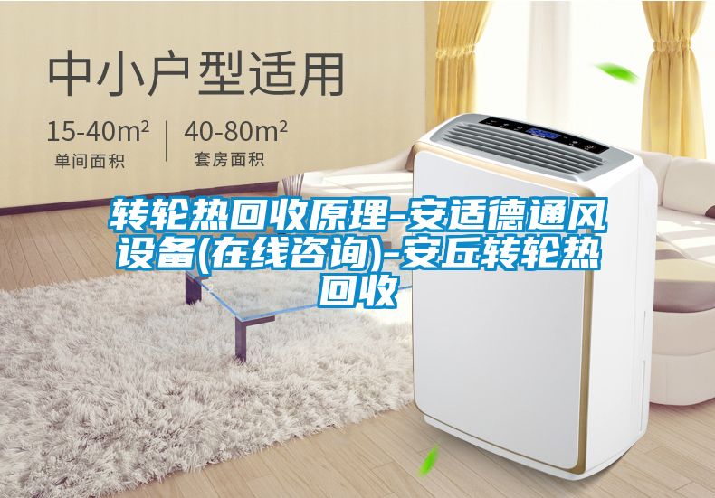 轉輪熱回收原理-安適德通風設備(在線咨詢)-安丘轉輪熱回收