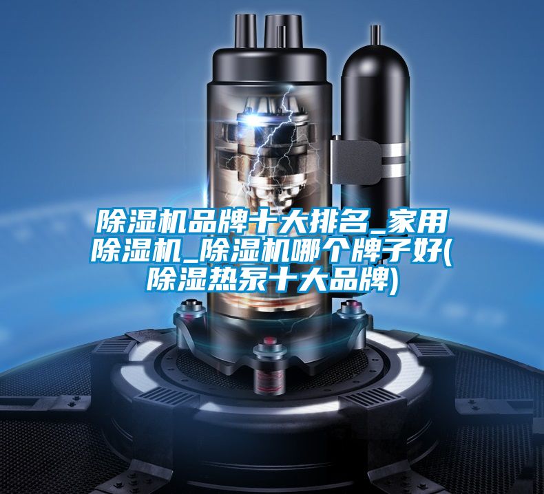 除濕機品牌十大排名_家用除濕機_除濕機哪個牌子好(除濕熱泵十大品牌)