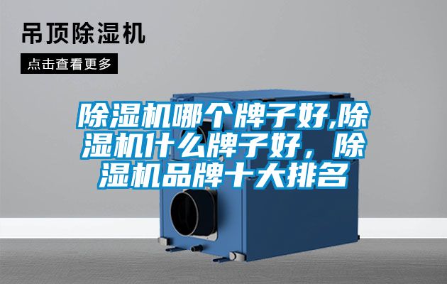 除濕機哪個牌子好,除濕機什么牌子好，除濕機品牌十大排名