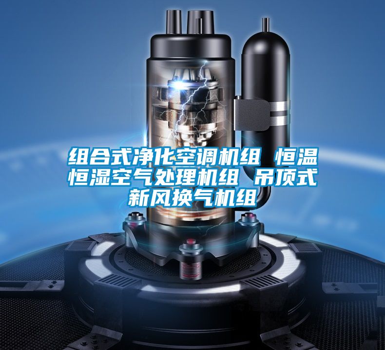 組合式凈化空調(diào)機組 恒溫恒濕空氣處理機組 吊頂式新風(fēng)換氣機組