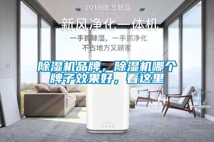 除濕機品牌，除濕機哪個牌子效果好，看這里