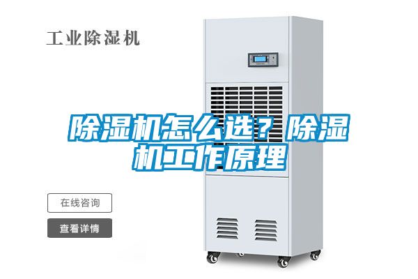 除濕機怎么選？除濕機工作原理