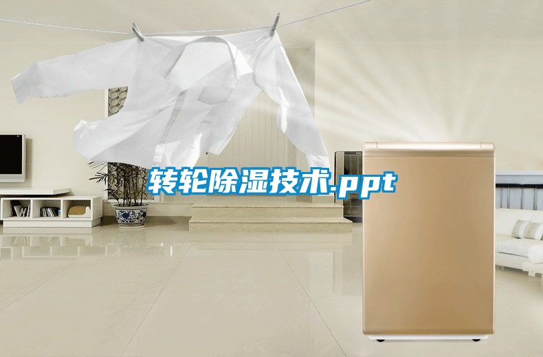 轉(zhuǎn)輪除濕技術(shù).ppt
