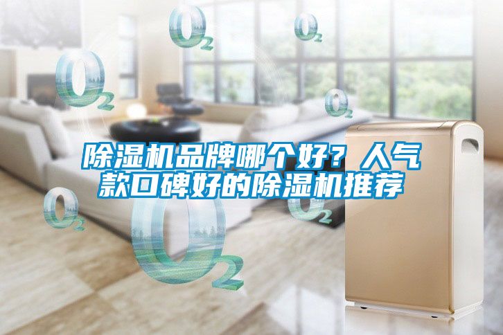 除濕機品牌哪個好？人氣款口碑好的除濕機推薦