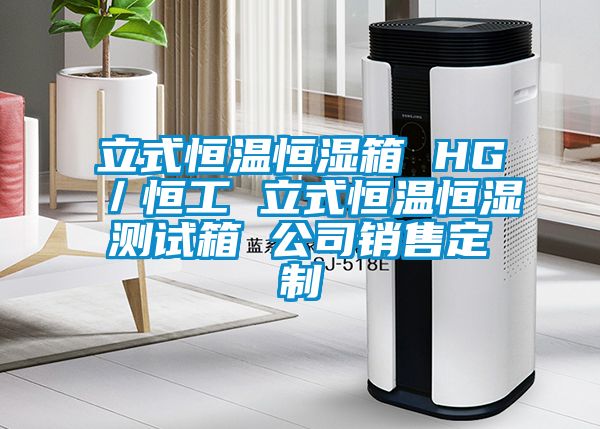 立式恒溫恒濕箱 HG／恒工 立式恒溫恒濕測試箱 公司銷售定制