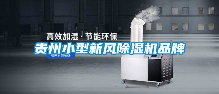 貴州小型新風除濕機品牌