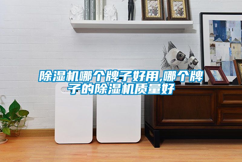 除濕機哪個牌子好用,哪個牌子的除濕機質(zhì)量好