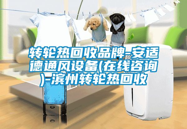 轉輪熱回收品牌-安適德通風設備(在線咨詢)-濱州轉輪熱回收