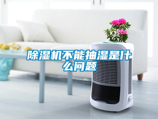 除濕機(jī)不能抽濕是什么問題
