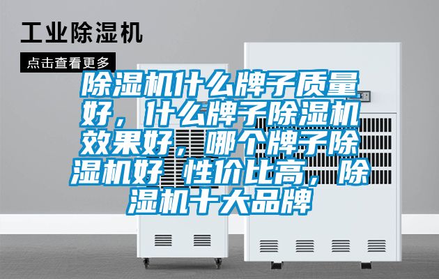 除濕機什么牌子質量好，什么牌子除濕機效果好，哪個牌子除濕機好 性價比高，除濕機十大品牌