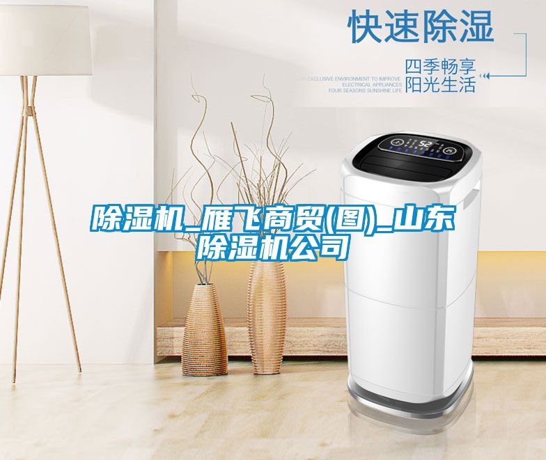 除濕機(jī)_雁飛商貿(mào)(圖)_山東除濕機(jī)公司