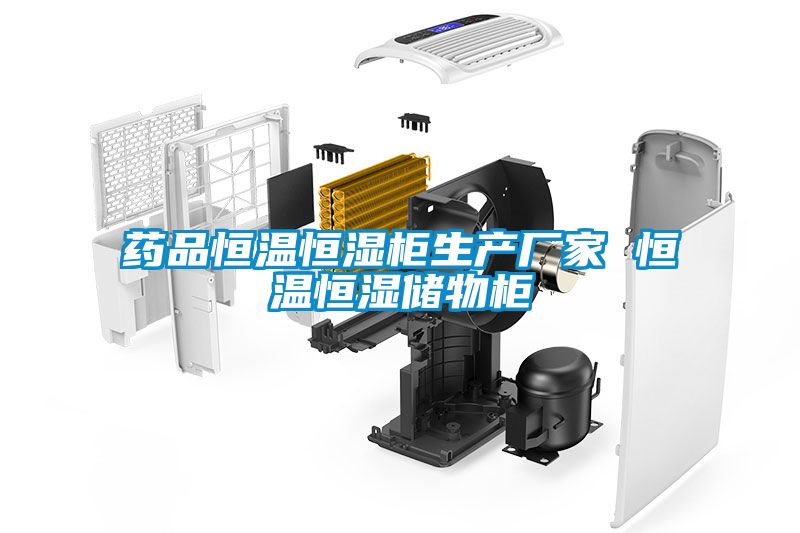藥品恒溫恒濕柜生產(chǎn)廠家 恒溫恒濕儲物柜