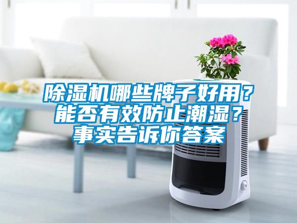 除濕機哪些牌子好用？能否有效防止潮濕？事實告訴你答案