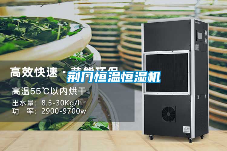 荊門恒溫恒濕機