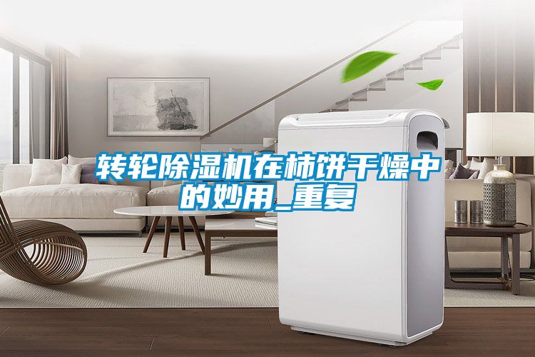 轉輪除濕機在柿餅干燥中的妙用_重復
