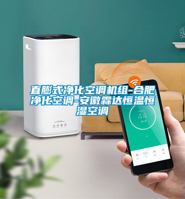 直膨式凈化空調(diào)機(jī)組-合肥凈化空調(diào)-安徽霖達(dá)恒溫恒濕空調(diào)
