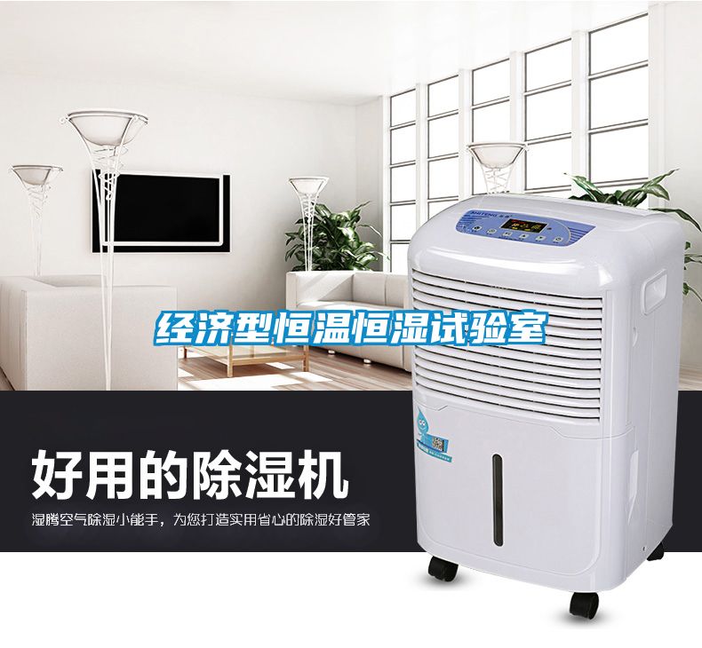 經濟型恒溫恒濕試驗室