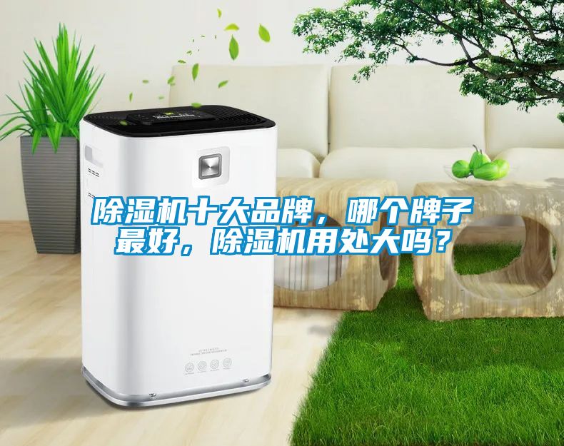 除濕機十大品牌，哪個牌子最好，除濕機用處大嗎？