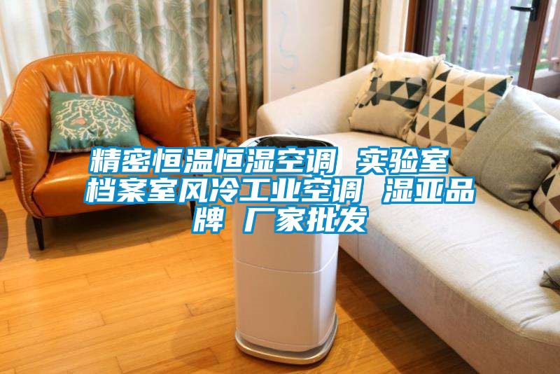精密恒溫恒濕空調 實驗室 檔案室風冷工業空調 濕亞品牌 廠家批發