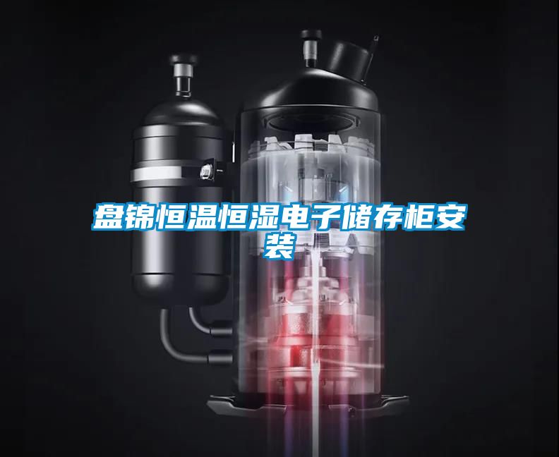 盤錦恒溫恒濕電子儲存柜安裝