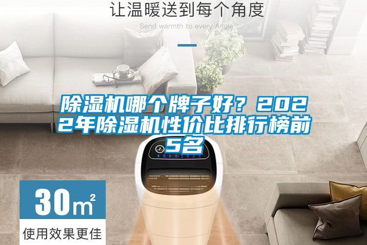 除濕機哪個牌子好？2022年除濕機性價比排行榜前5名