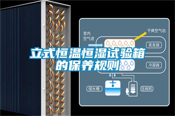 立式恒溫恒濕試驗(yàn)箱的保養(yǎng)規(guī)則