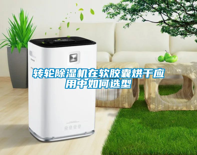 轉(zhuǎn)輪除濕機(jī)在軟膠囊烘干應(yīng)用中如何選型