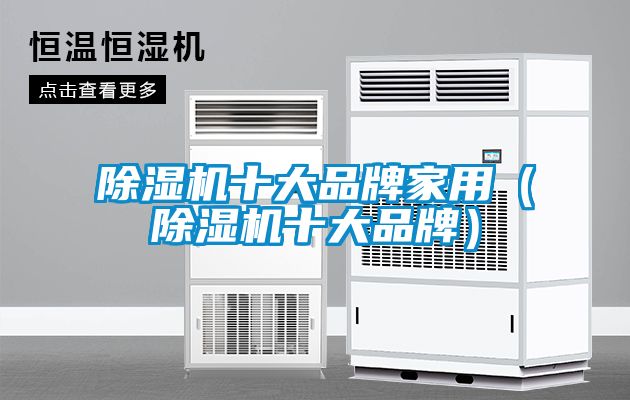 除濕機十大品牌家用（除濕機十大品牌）