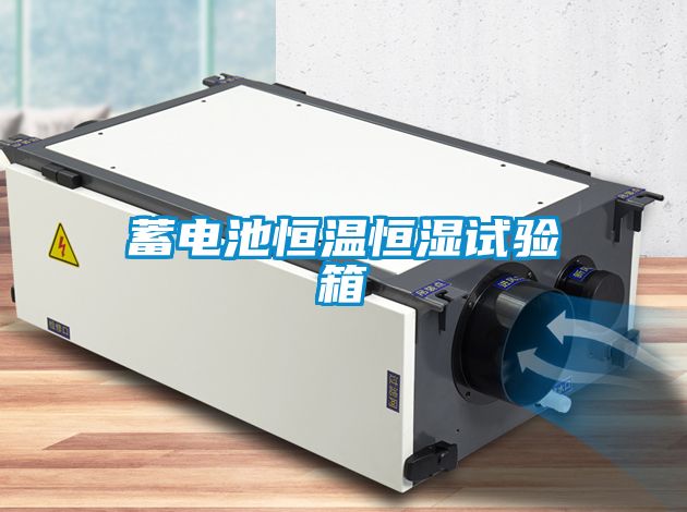 蓄電池恒溫恒濕試驗(yàn)箱
