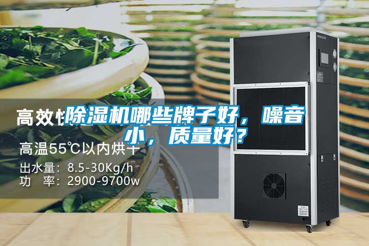 除濕機哪些牌子好，噪音小，質量好？