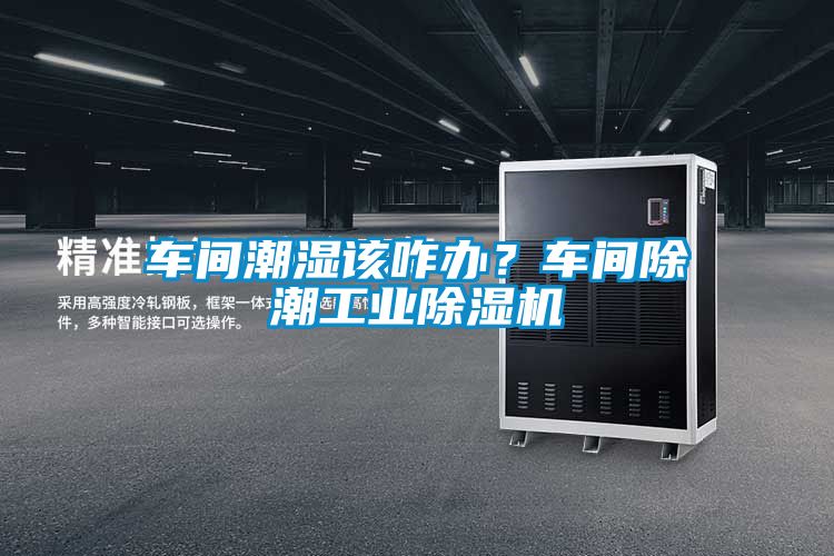 車間潮濕該咋辦？車間除潮工業除濕機