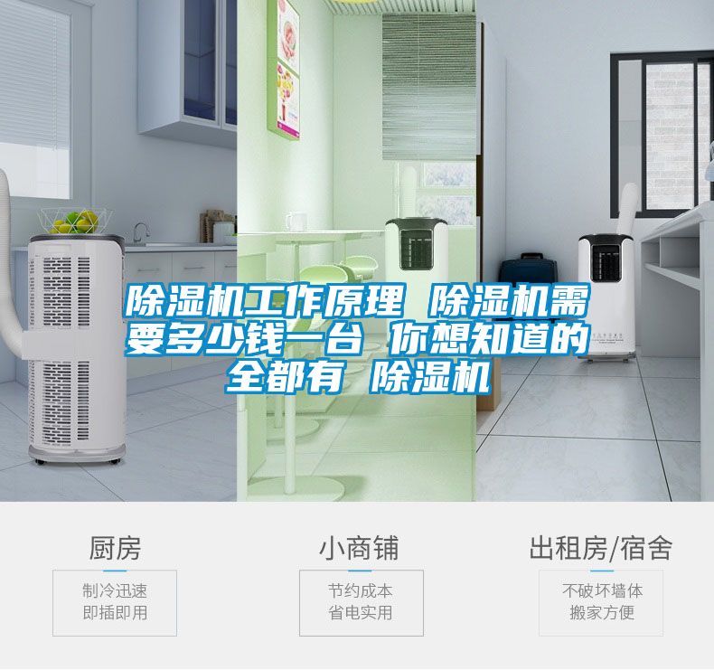 除濕機工作原理 除濕機需要多少錢一臺 你想知道的全都有 除濕機