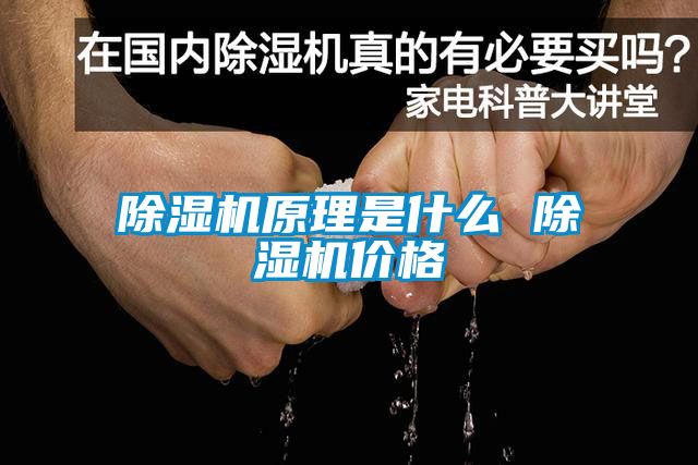 除濕機原理是什么 除濕機價格
