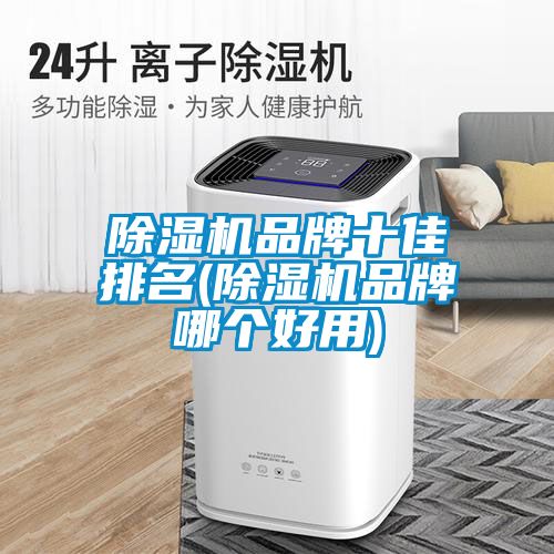 除濕機(jī)品牌十佳排名(除濕機(jī)品牌哪個(gè)好用)