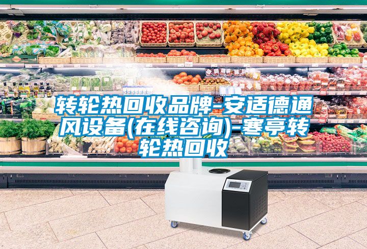 轉輪熱回收品牌-安適德通風設備(在線咨詢)-寒亭轉輪熱回收